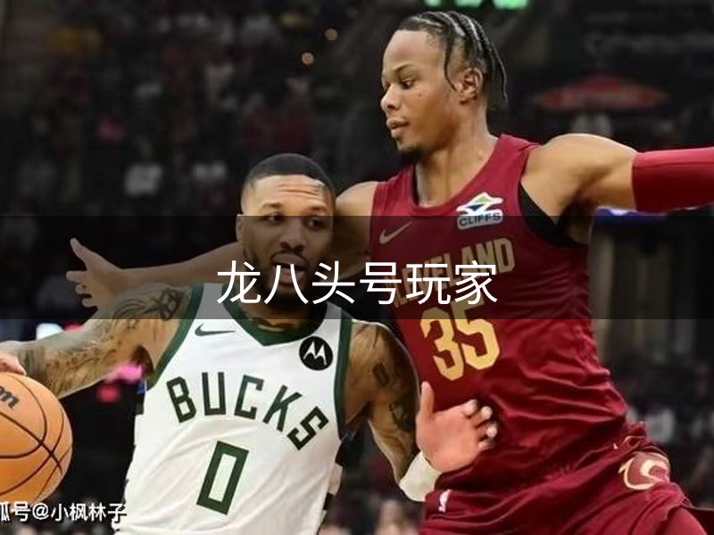 龙八头号玩家简介